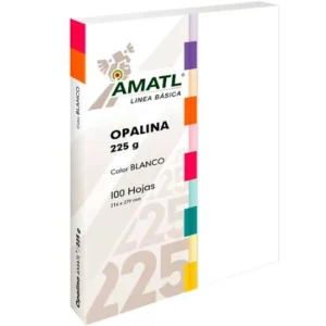 Comercializadora y Suministros auto draft